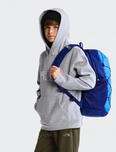 Felpa sportiva The North Face - grigio
