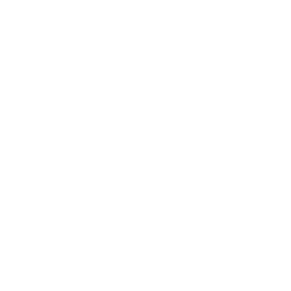 YES ZEE
